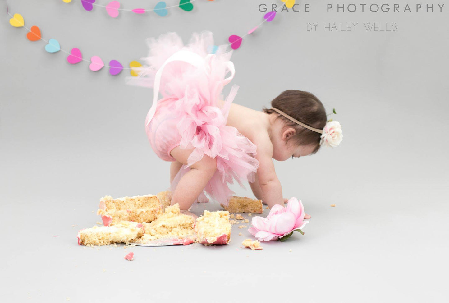 Cake Smash / Splash SESSION ONLY