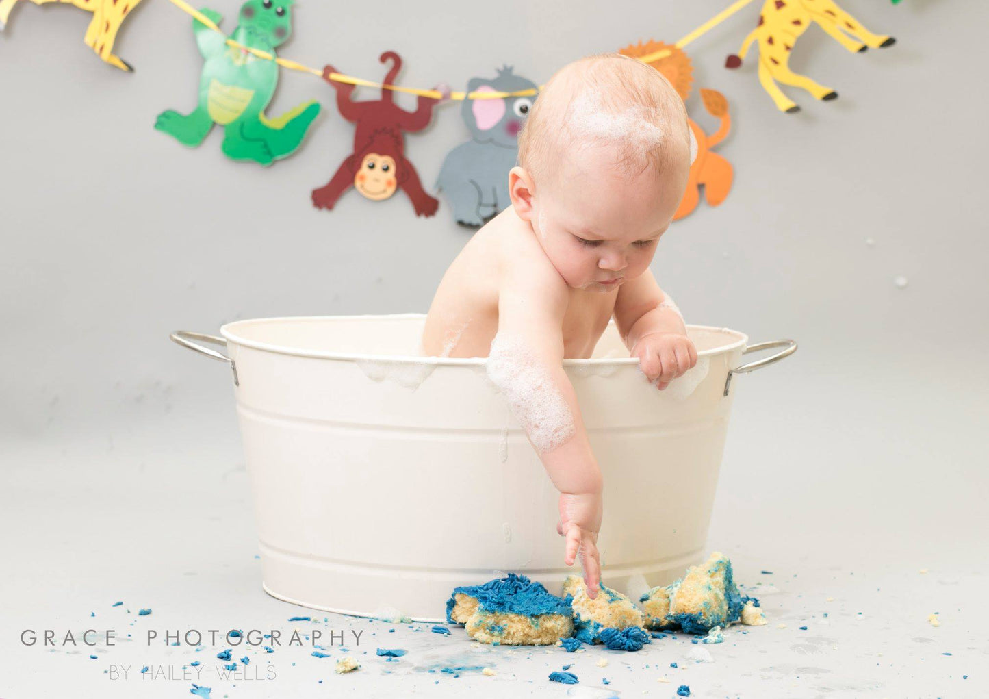 Cake Smash / Splash SESSION ONLY
