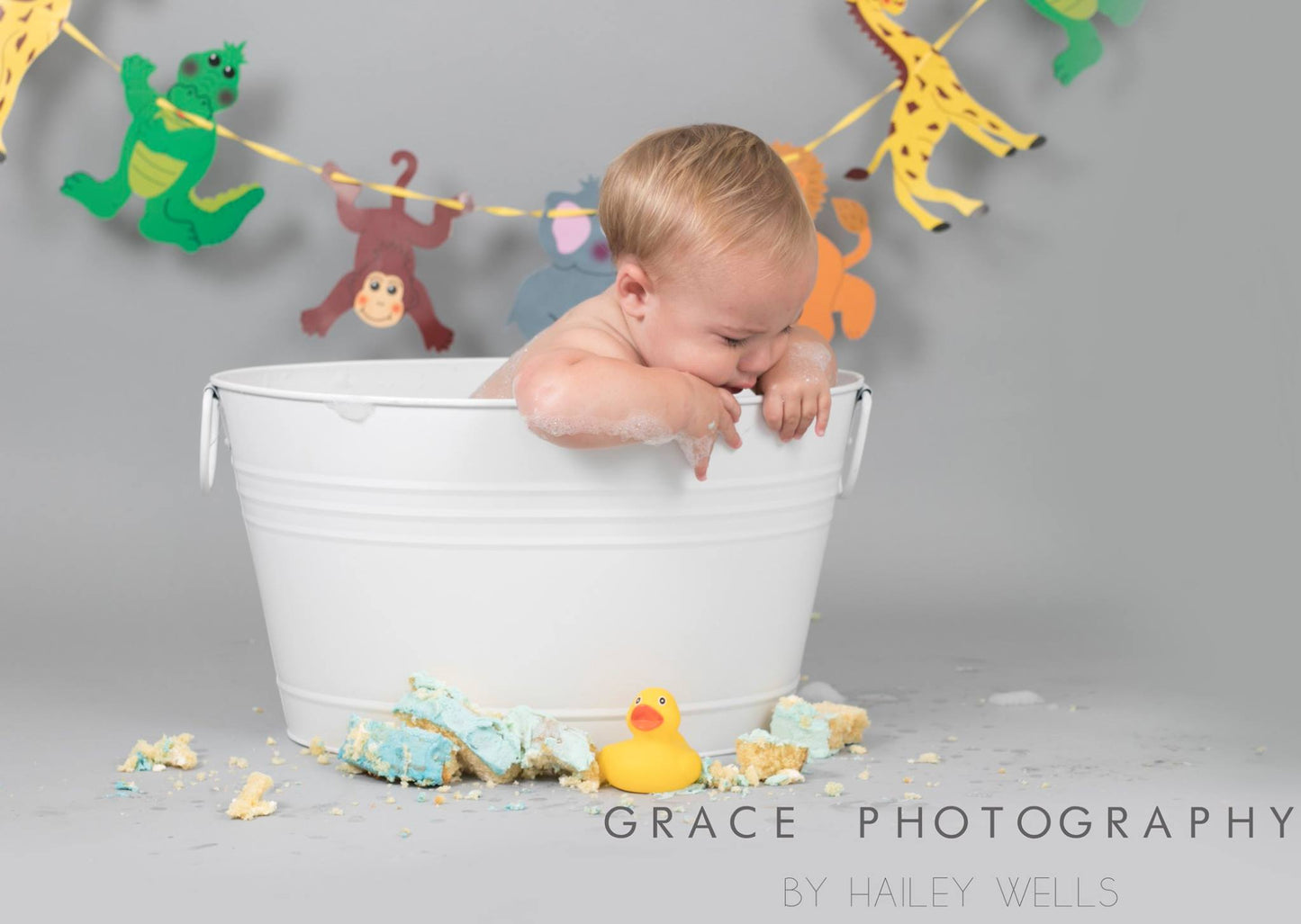 Cake Smash / Splash SESSION ONLY