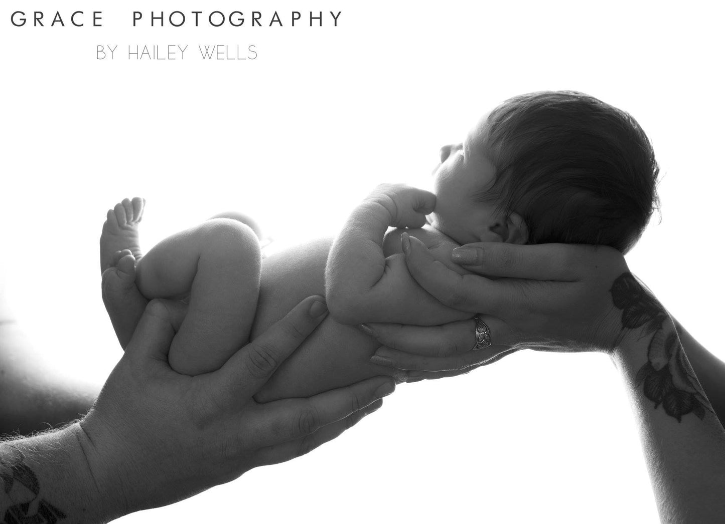 Newborn SESSION ONLY