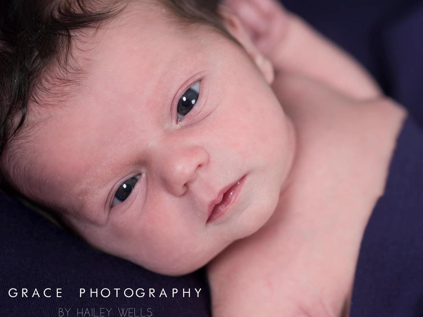 Newborn SESSION ONLY
