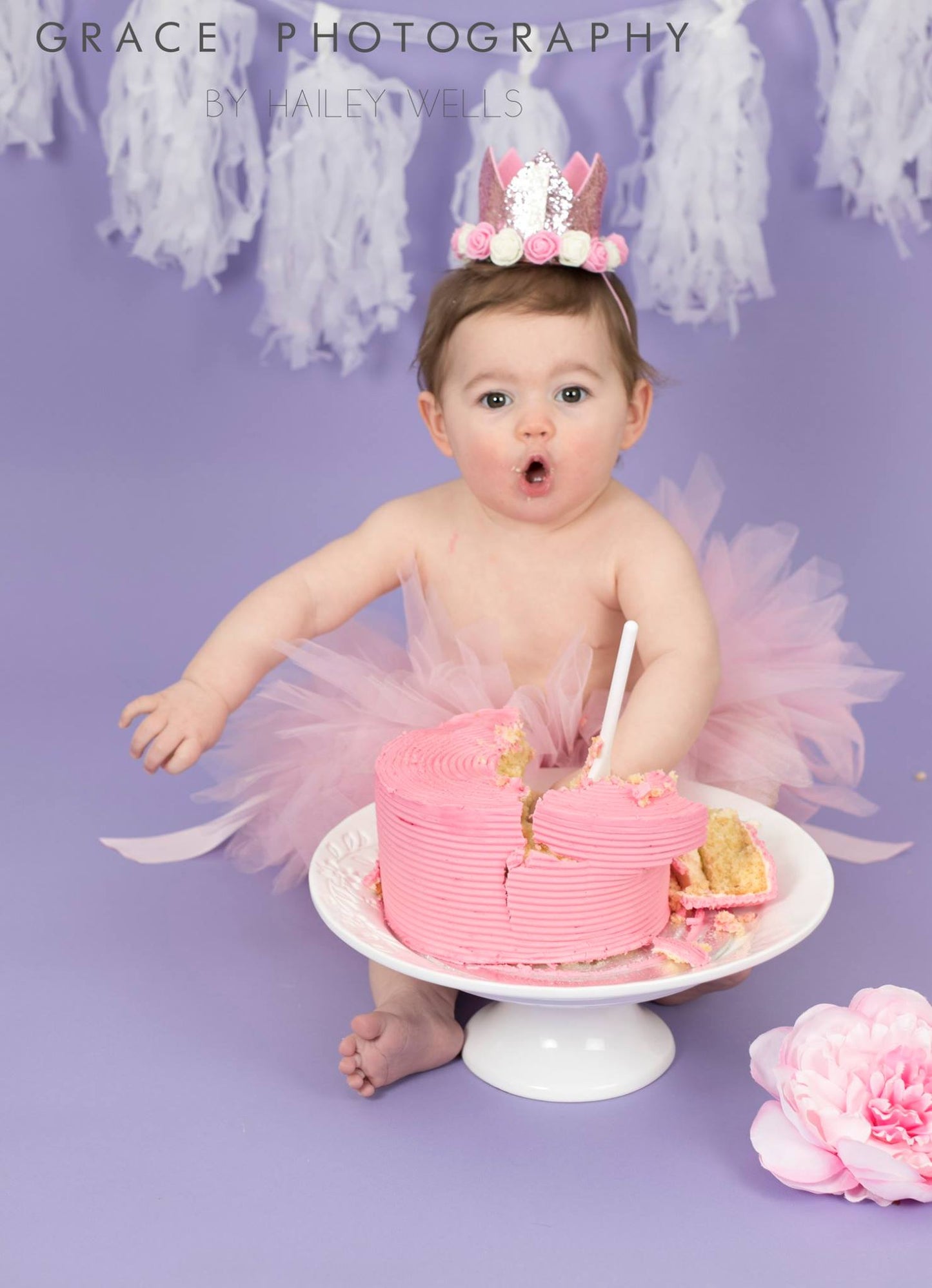 Cake Smash / Splash SESSION ONLY
