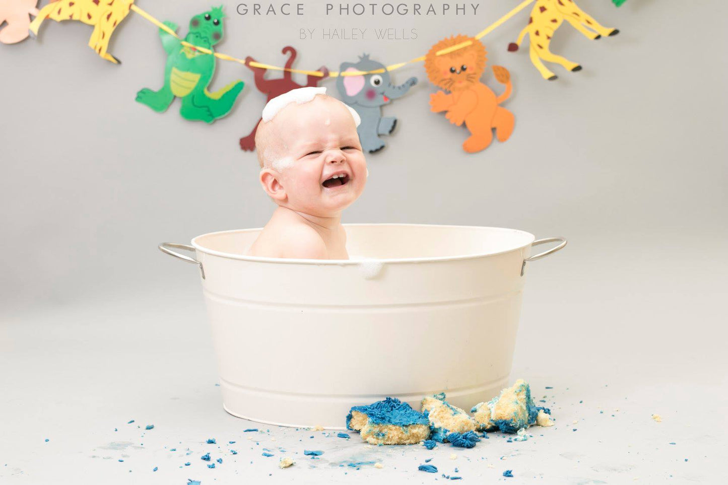 Cake Smash / Splash SESSION ONLY